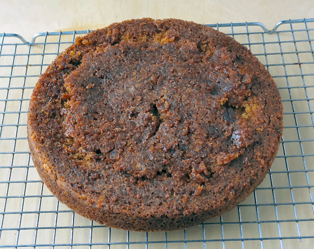 One Layer of Carrot Cake